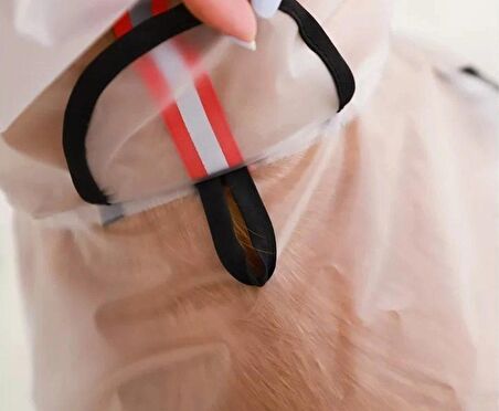 Köpek Küçük ve Orta Irk Paçalı Şeffaf Yağmurluk - Rinda