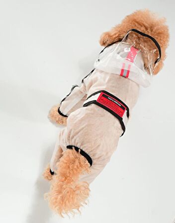 Köpek Küçük ve Orta Irk Paçalı Şeffaf Yağmurluk - Rinda