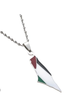 Filistin Bayraklı Mineli Harita Çelik Kolye - Vatan Temalı Kararmaz Unisex Zincirli Kolye