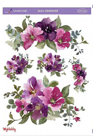 Sulu transfer LNT104