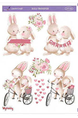 Sulu transfer LNT106