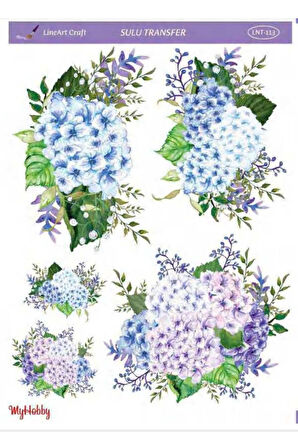 Sulu transfer LNT113