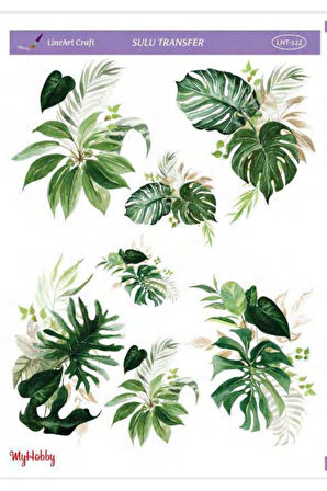 Sulu transfer LNT122