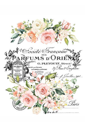 Sulu Transfer LNT149