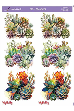 Sulu transfer LNT236