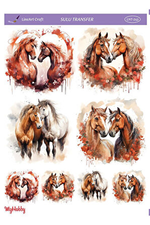 SULU TRANSFER LNT243