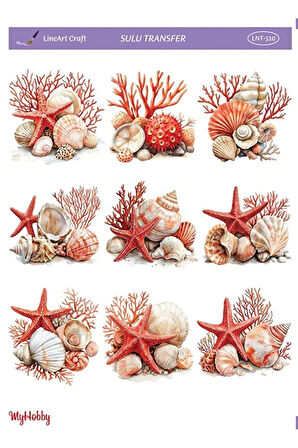 Sulu Transfer Kağıdı LNT-510 25x35 cm