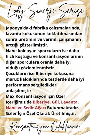 Konsantrasyon - Odaklanma Sinerji Karışım Esansiyel Uçucu Yağ Buhurdanlık Yağı Aromaterapi Difüzör,