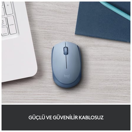 LOGITECH 910-006866, M171 BlueGrey, USB Nano 2,4G Kablosuz, 1000dpi, Optik, 3 Tuşlu, 12ay Pil Ömrü, Mouse