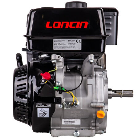 Loncin G390F-I EUR5 Benzinli Motor 13HP İpli