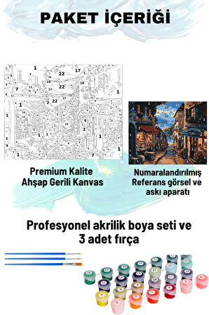 Sayılarla Boyama Seti Numaralı Tuval Fırça Boya 40x50 Cm Lotus Sokak