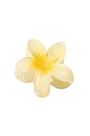 Rengarenk Lotus Çiçeği Mandal Toka 6'lı
