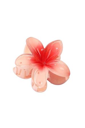 Rengarenk Lotus Çiçeği Mandal Toka 6'lı