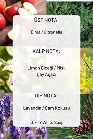 Pudra, Amber, Beyaz Sabun- Viski Model Cam Şişe Oda ve Çamaşır Spreyi Vegan İçerik / Oda Parfümü 3X
