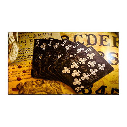 Legends Playing Cards Divination Black Premium Oyun Kağıdı Koleksiyonluk iskambil Kartları Destesi