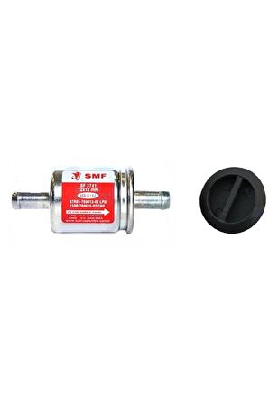Lpg Filtresi 12x12