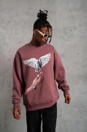 Erkek Güvercin Baskılı Sweatshirt
