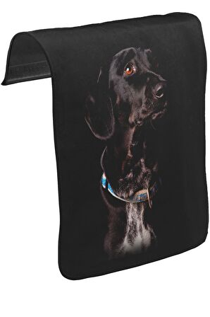 Doggy Dog Unisex Siyah Tak-Çıkar Postacı Çanta Kapağı CK-249