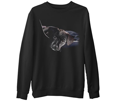 Puppy  Siyah Erkek Kalın Sweatshirt