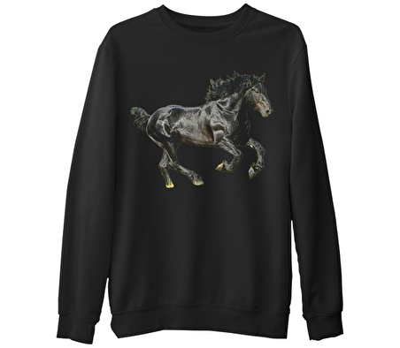 At 4  Siyah Erkek Kalın Sweatshirt