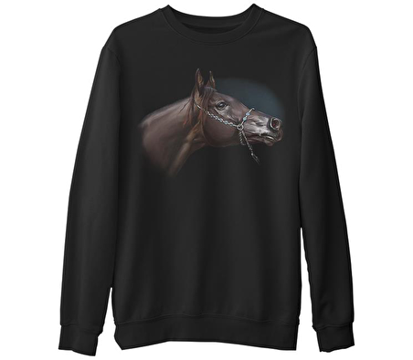 At 6  Siyah Erkek Kalın Sweatshirt