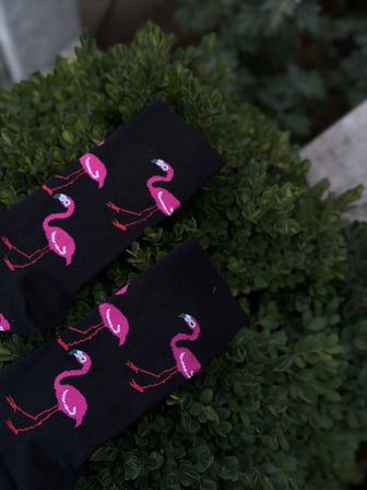 Unisex Flamingo Desenli Siyah Soket Çorap