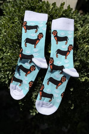 Unisex Sosis Köpek Desenli Turkuaz Soket Çorap