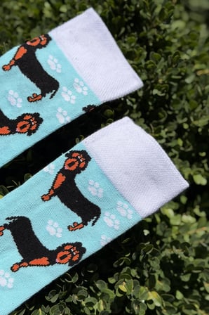 Unisex Sosis Köpek Desenli Turkuaz Soket Çorap