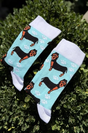 Unisex Sosis Köpek Desenli Turkuaz Soket Çorap