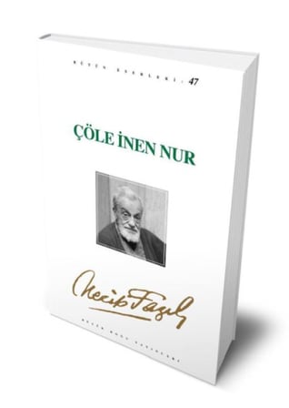 Çöle İnen Nur
