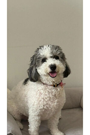 Kişiye Özel 3D Baskı LED Işıklı Fotoğraf Çerçevesi ve Lamba – Dekoratif Gece Lambası & Hediye