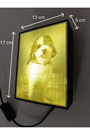 Kişiye Özel 3D Baskı LED Işıklı Fotoğraf Çerçevesi ve Lamba – Dekoratif Gece Lambası & Hediye