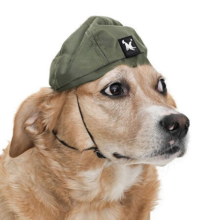 Küçük ve Orta Irk Köpekler için Şapka - CHE