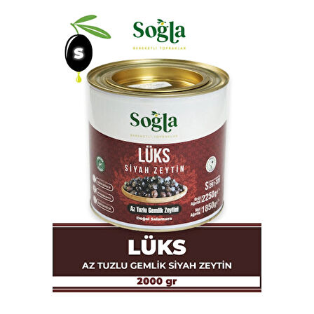 Lüks Gemlik Zeytini Teneke 1850g