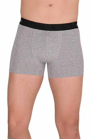 Love Atelier Pamuk Modal Likralı Esnek Erkek Boxer Gri 4476B