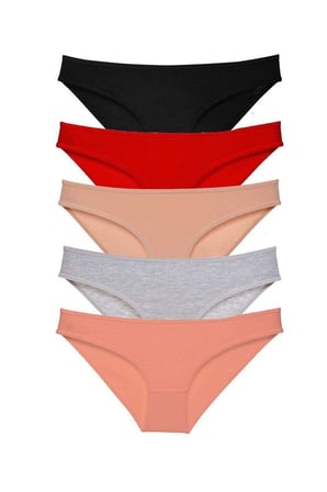 Love Atelier 5 adet Süper Eko Set Likralı Kadın Slip Külot Siyah Kırmızı Ten Gri Pudra