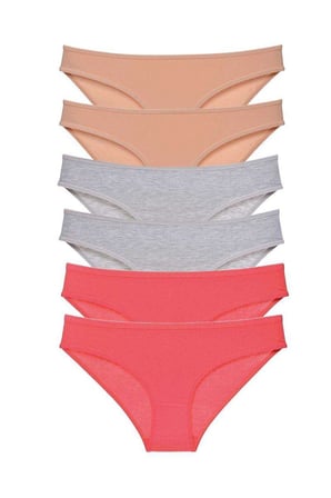 Love Atelier 6 adet Süper Eko Set Likralı Kadın Slip Külot Ten Gri Fuşya
