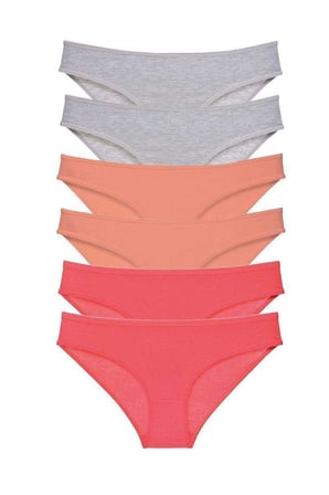 Love Atelier 6 adet Süper Eko Set Likralı Kadın Slip Külot Gri Pudra Fuşya