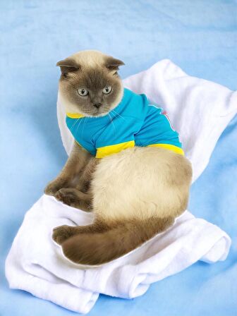 Hediye Paketli, Anneye Hediye, Love Mom Blue, Oval Yaka Tişört Kedi Kıyafeti,Elbisesi Anneler Günü, Anneye, Anne