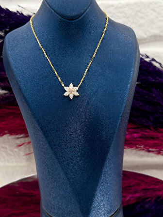 925 Ayar Gümüş Gold Renk Yıldız Modeli Lüks Kadın Kolye