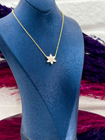 925 Ayar Gümüş Gold Renk Yıldız Modeli Lüks Kadın Kolye