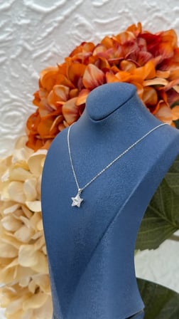 925 Ayar Gümüş Zirkon Taşlı Yıldız Minimal Kadın Kolye