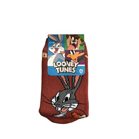 ÇİMPA LOONEY TUNES FİGÜRLÜ HAVLU ÇORAP - UNISEX