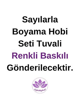 Renkli Baskılı Sayılarla Boyama Hobi Seti (Çerçeveli) 40x50 cm: Renkli Dalga