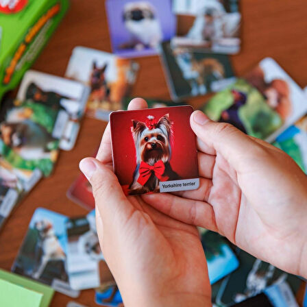 KÖPEK CİNSLERİ Eğitici çocuk eşleştirme hafıza geliştirme oyunları Memory 48 kart + Bilgi Broşürü