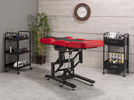 Elegance Pedikür Koltuğu Menikür Koltuğu Tattoo Koltuğu Ağda Koltuğu Cilt Bakım Koltuğu