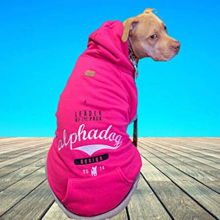 Alphadog Leader Pink Orta-Büyük Irk Köpek Sweatshirtü (11 kg-36 kg arası köpeklere uygundur)