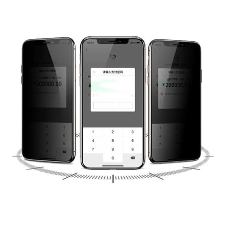 Lexroo iPhone 12 Pro 5D Privacy Cam Ekran Koruyucu - Siyah