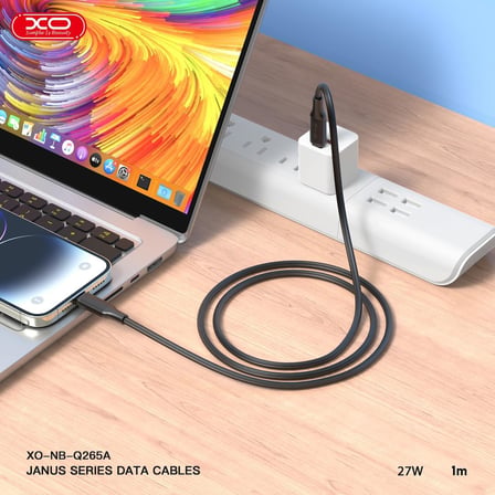 Lexroo XO 60W Hızlı Şarj Kablosu Type-C | NB-Q265B | 1 Metre | Veri Transferi