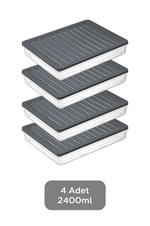 Lexroo Orret Home 4 Adet Buzdolabı Organizeri, Buzdolabı İçin Çok Amaçlı Saklama Kabı, Fresh Box